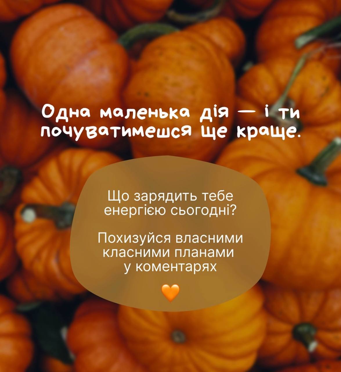 1photo 2025 10 08 19 33 00