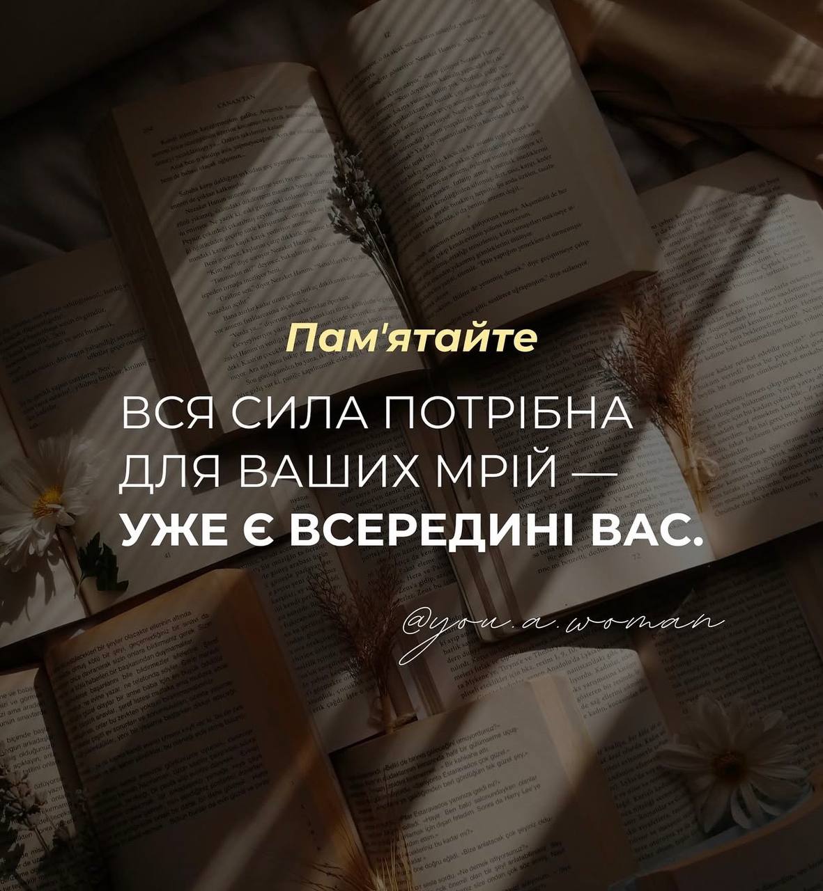 7photo 2025 10 23 18 49 25