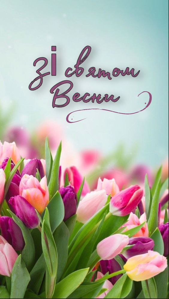 photo 2026 03 06 19 15 04